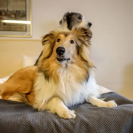 Spahotel Casino 4* Savonlinna